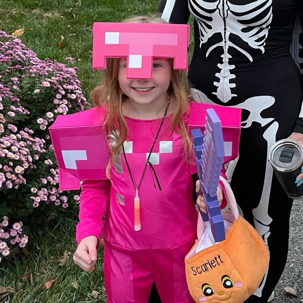 Pink Minecraft costume with purple sword! Size XS